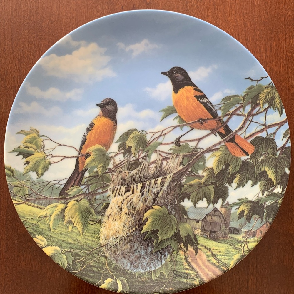 Knowles Vibrant Orange and Green Accent Decor
